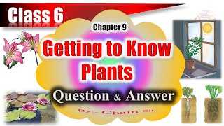 Class 6 Science Chapter 9 Question Answer  Getting to Know Plants Question Answer  Science Ahead [upl. by Stilwell432]