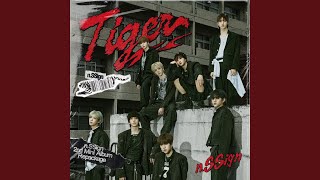 Tiger New Flavour Tiger New Flavour [upl. by Sosthenna]