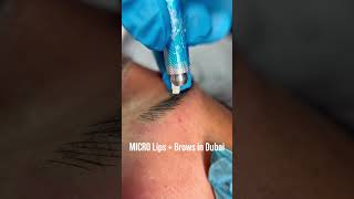 MICRO Lips  Brows in Dubai lipblush dubai abudhabi permanentmakeupmicroblading dubai [upl. by Dela]