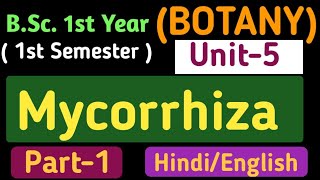 Mycorrhiza in HindiTypes of MycorrhizaVAMVesicular Arbuscular MycorrhizaBSc 1 Year 1st Semester [upl. by Udela333]