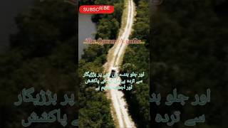 The Quran A Guide 💓 youtubeshorts viralvideoshorts quran ytshort [upl. by Attiuqaj861]