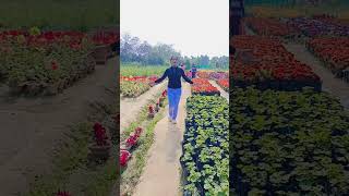 Koto swapno dekhe e mon shortsviralsubscribe [upl. by Secnirp]