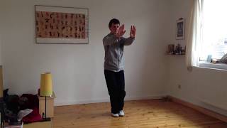 Qigong 9er Form nach Prof Zhang Guangde  Jiu Shi Qiang Shen Gong [upl. by Amend]