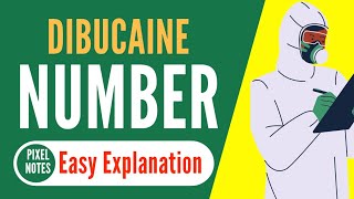 Dibucaine Number  Pseudocholinesterase Activity [upl. by Zerat738]