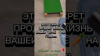 Акция Выгодная рассрочкаquot koreiskiesalatiobuchenie [upl. by Agler]