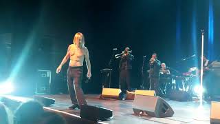 Iggy Pop The Passenger Live 2022 [upl. by Ahsele958]