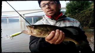 Pesca ao Achigã  Bass Fishing  Savage Gear  Prey 89 [upl. by Nannette358]