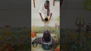 श्री यज्ञेश्वर महादेव का दिव्य श्रृंगार shortsshortshivmahakalmahadevviralujjainmahakalujj [upl. by Yvonne747]