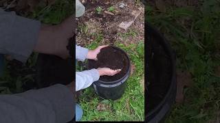 Composting Tip 190 [upl. by Brittani]