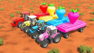 JOHN DEERE vs CLAAS vs DEUTZ FAHR vs FENDT TRACTORS BATTLE WITH STRAWBERRIES  Farming Simulator 22 [upl. by Dinan]