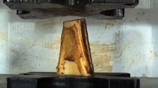 Real Bone Crushed By Hydraulic Press [upl. by Waiter]