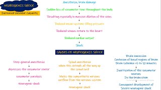 Neurogenic Shock Chapter 24 part 5 Guyton and Hall Physiology [upl. by Wexler]