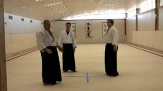 Aikido Multiple Attack Randori  Principles [upl. by Ahsikar]