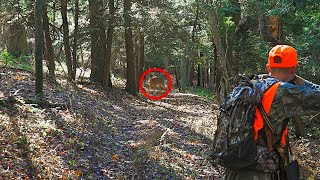 DEER RUNS RIGHT AT US DEER HUNTING 2024 Flintlock Longrifle amp Inline Muzzleloader Hunt Pennsylvania [upl. by Samara]