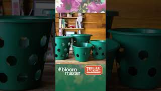 Boost your blooms with Bloom Master— for gardeners commercial landscapers and municipalities [upl. by Smitty346]