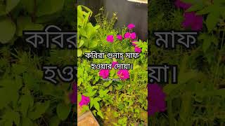 amol islamicshorts islamicstatus islamicwaz islam islamic islamicvideo ওয়াজ ইসলামিক nadi [upl. by Phaidra894]