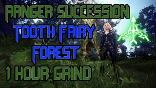 BDO  Succ Ranger PvE l Tooth Fairy Forest [upl. by Stoll110]