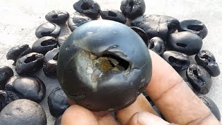 Gandaki river shaligram  different kinds of smaller sri shaligram shila  shaligram stone [upl. by Arrekahs461]