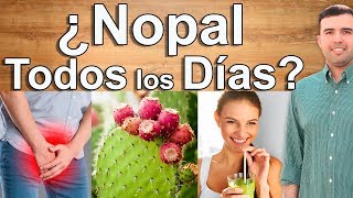 ¿ES MALO COMER NOPAL  Para Qué Sirve Beneficios y Contraindicaciones del Nopal Para la Salud [upl. by Nnaeirelav]