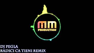 Dj Pegla  Radici Ca Tieni  Afro Remix  HQ SOUND [upl. by Ruttger521]