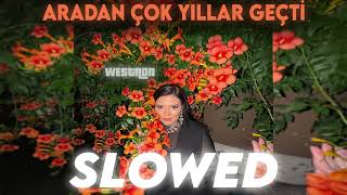 Tuğçe Kandemir  Aradan Çok Yıllar Geçtislowed amp reverb [upl. by Christabel879]