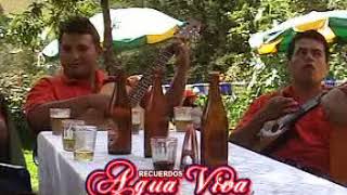 AGUA VIVA Cantar por no llorar Huayno Abancay Apurimac [upl. by Demaria]