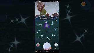 Shiny Shadow Beldum Hooyah Booyah shiny shinyluck shadow beldum brodad69 pokemongo [upl. by Iilek]