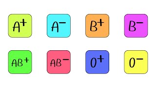 Every BLOOD TYPES Explained In 9 Minutes [upl. by Ettenotna]