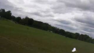 Thumb Wing Glider maiden flight  DIY GLIDER [upl. by Sherburn]