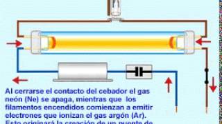 FUNCIONAMIENTO LAMAPARA FLUOREsCENTE [upl. by Fawnia943]