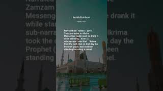 Sahih Bukhari Hadith 1637 Hajj Pilgrimage [upl. by Funda]