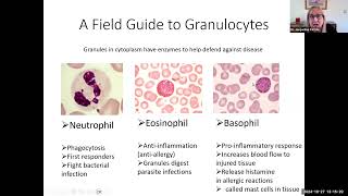 hbio14e leukocytes 11 min [upl. by Lateh506]