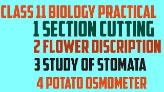 Class 11 biology practical core experiments and slide [upl. by Ocsirf]