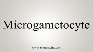 How To Say Microgametocyte [upl. by Niknar]