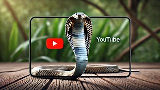 Black Mamba The Deadliest and Fastest Snake in Africaquot [upl. by Gorrian]