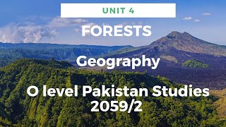 Unit 4  Geography  Forests  O level Pakistan Studies 20592  WS Studio  Waris Shahzad [upl. by Einberger52]