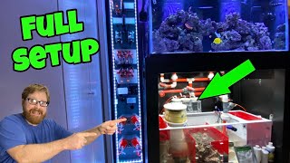 SALTWATER REEF AQUARIUM DOSING SYSTEM For 2 Part  DIY Custom Setup [upl. by Maribelle701]