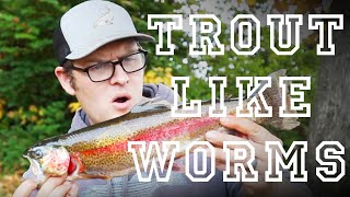 How to  Watauga River Trout [upl. by Denn349]