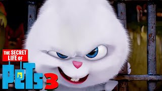 The Secret Life Of Pets  Film Clip 3 ซับไทย [upl. by Aneba440]