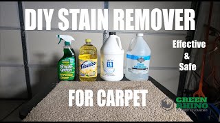 DIY Stain Remover For Carpet  Advice From A Pro [upl. by Blatman]