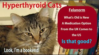 New Hyperthyroid Cat Medicine in the US Felanorm [upl. by Dlorrej127]