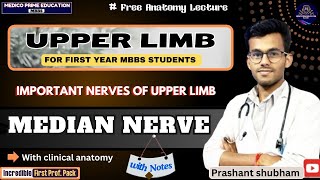 Median Nerve Anatomy  Course amp Branches  Median nerve 3D anatomy  Carpel tunnel syndrome mbbs [upl. by Aihseken]