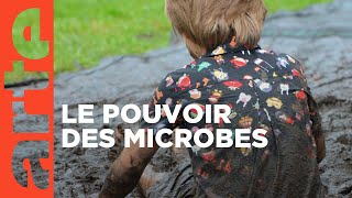 Vive les microbes   ARTE [upl. by Niwred692]