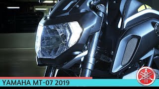 Yamaha MT 07 2019 [upl. by Saffier]