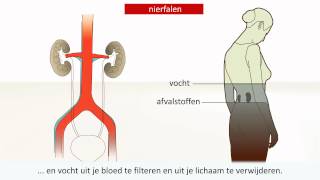 Nieraandoening  Oorzaak en behandeling [upl. by Yirinec]