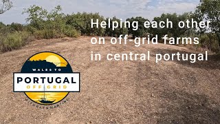 HELPING EACH OTHER OUT OFF GRID FARMS CERNTRAL PORTUGAL [upl. by Ynnep467]