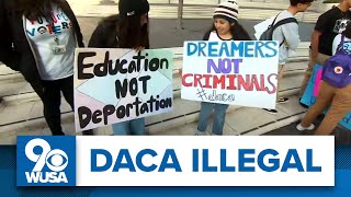 Court declares DACA program illegal protests planned in nations capital [upl. by Yeroc]