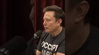 Joe Rogan and Elon Musk Talk About Pnut The Squirrel jreclips comedian 2024election podcast [upl. by Kissee]