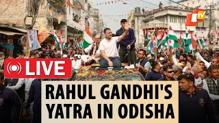 🔴LIVE  Rahul Gandhis Bharat Jodo Nyay Yatra In Odisha  Rahuls Padyatra In Rourkela [upl. by Elahcim]