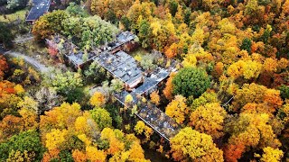 Environments The Evil Woods Drone Footage Northville Michigan [upl. by Ainimreh]